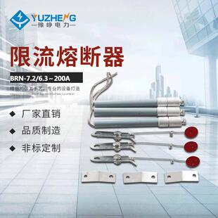 高压熔断器BRN BRN 电容器保护用高压熔断器 10KV