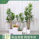 北欧风仿真琴叶榕盆栽树绿植室内落地橱窗绿植盆栽假植物装 饰景观