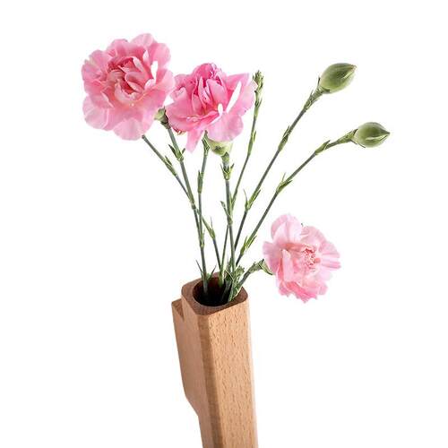 木进品门走廊实墙面装饰壁花植物墙F96SM965壁简约日式玄关壁挂饰