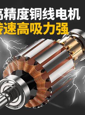 油两用抽水油泵电动抽泵12ETP水V4V220V伏直流2高压抽水泵加油机