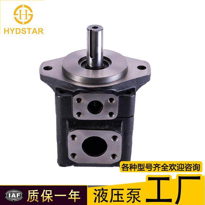 厂家现货denison丹尼逊T6C 014 1R01 C1叶片泵液压压铸机T6c