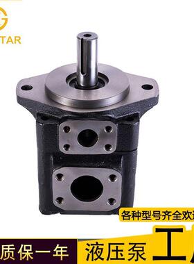 现货denison丹尼逊T6C0141R01C1叶片泵液压压铸机T6c