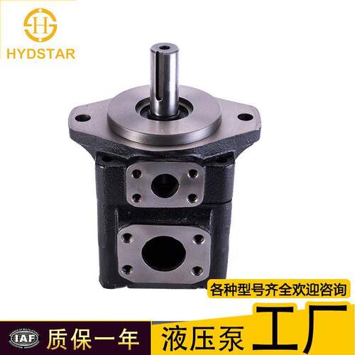 现货denison丹尼逊T6C0141R01C1叶片泵液压压铸机T6c