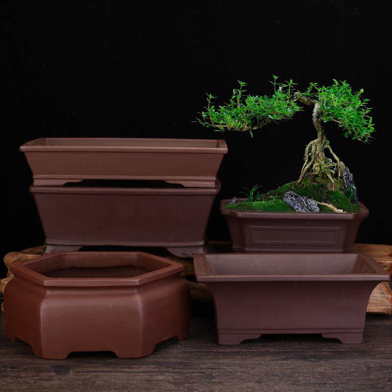 紫砂兰花盆精品陶瓷方形客厅桌面马槽六方古典高档松柏盆景盆包邮