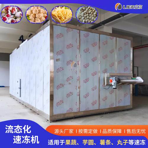 全自动流态化速冻机上海青樱桃蓝莓颗粒单冻机果蔬流态化速冻机