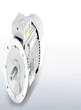 德国vem W21型节能电机 可以支持技术选型 功率0.06~335kW