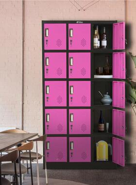 铁厂家OEM/ODM定多制门彩色更衣柜钢制带JSJ-DM15锁存包皮柜瑜房