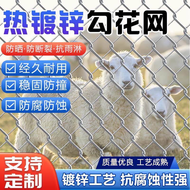 热浸镀锌勾花网 铁丝网 养殖网果园围网护坡网编织网围栏网厂家直