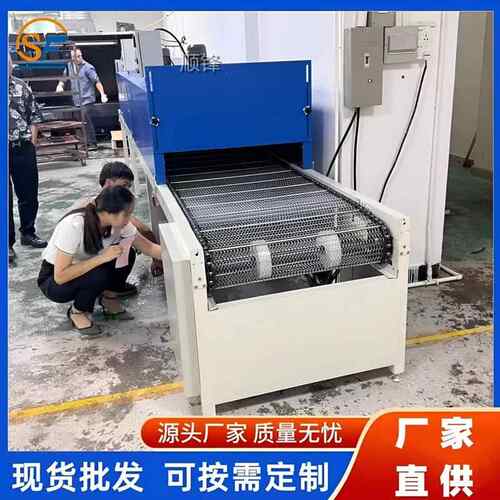 隧道炉烘干EXQ漆线不锈钢网带线线电热恒温烤丝印烤喷油固化烘箱