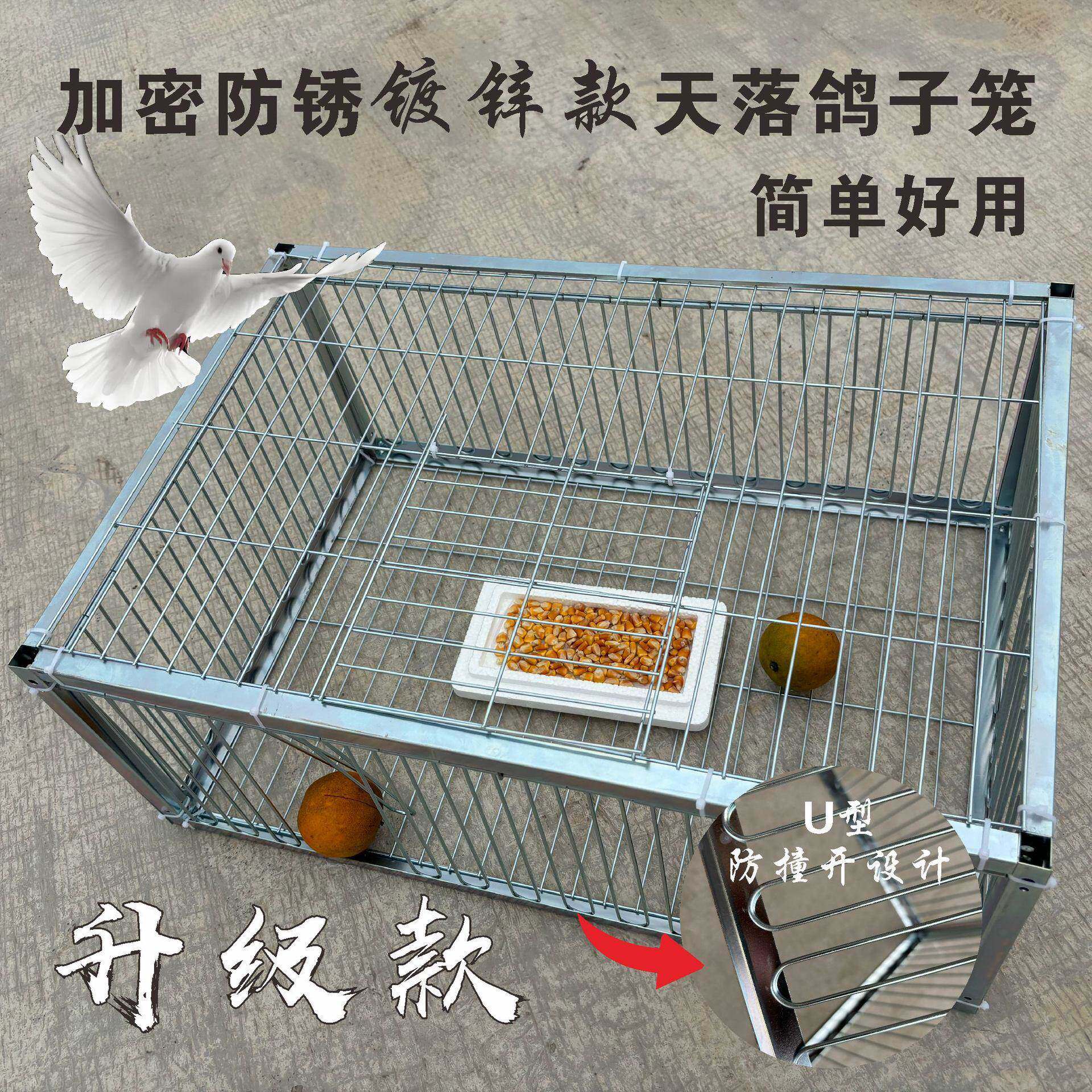 新款天落笼加密只进不出鸽子笼自动收鸽笼撞门笼鸽子笼鸽子防锈