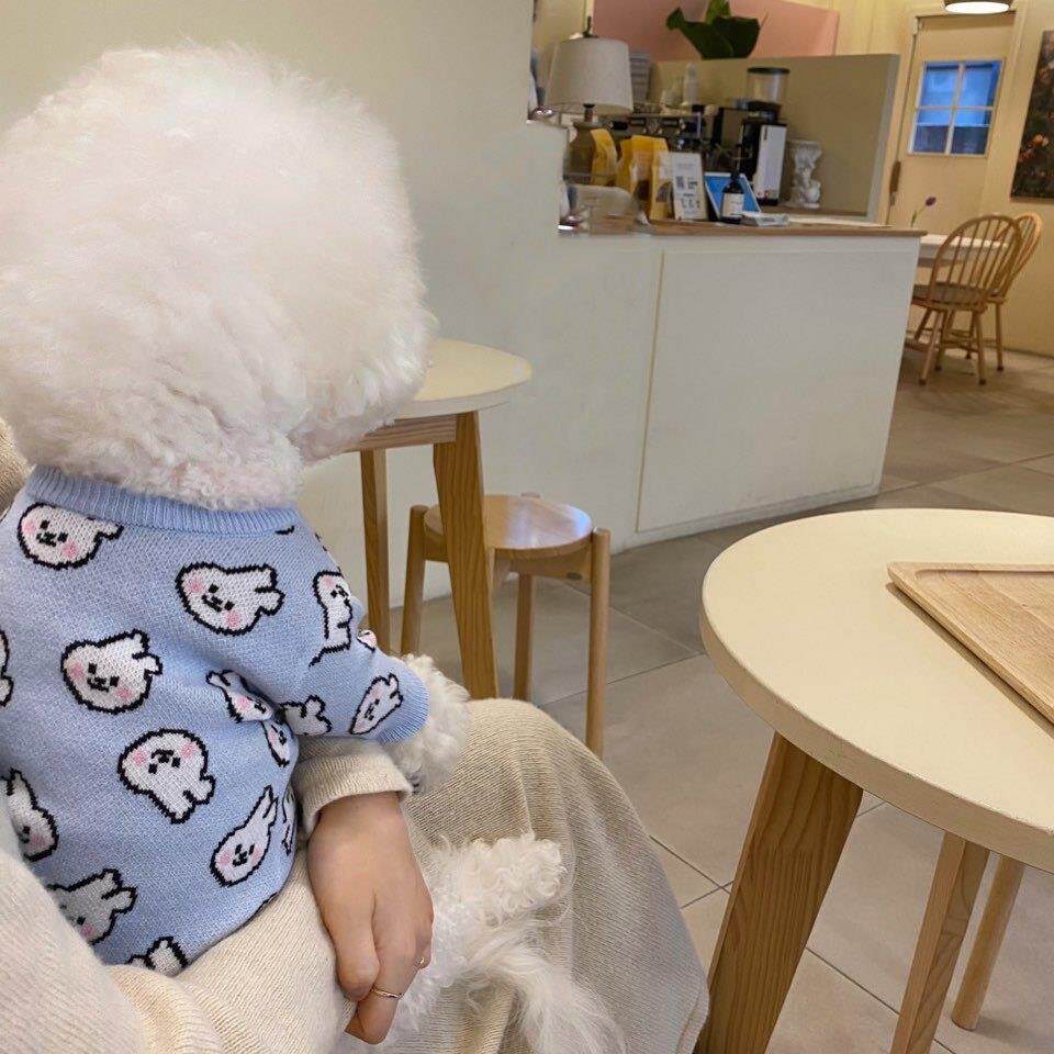 秋冬季狗狗满印兔子毛衣中小型犬泰迪比熊博美针织衫猫咪宠物衣服