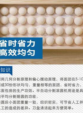 MKG广州正麦全自动分粒割机包30面团面馒头烤箱分块滚圆机商用大