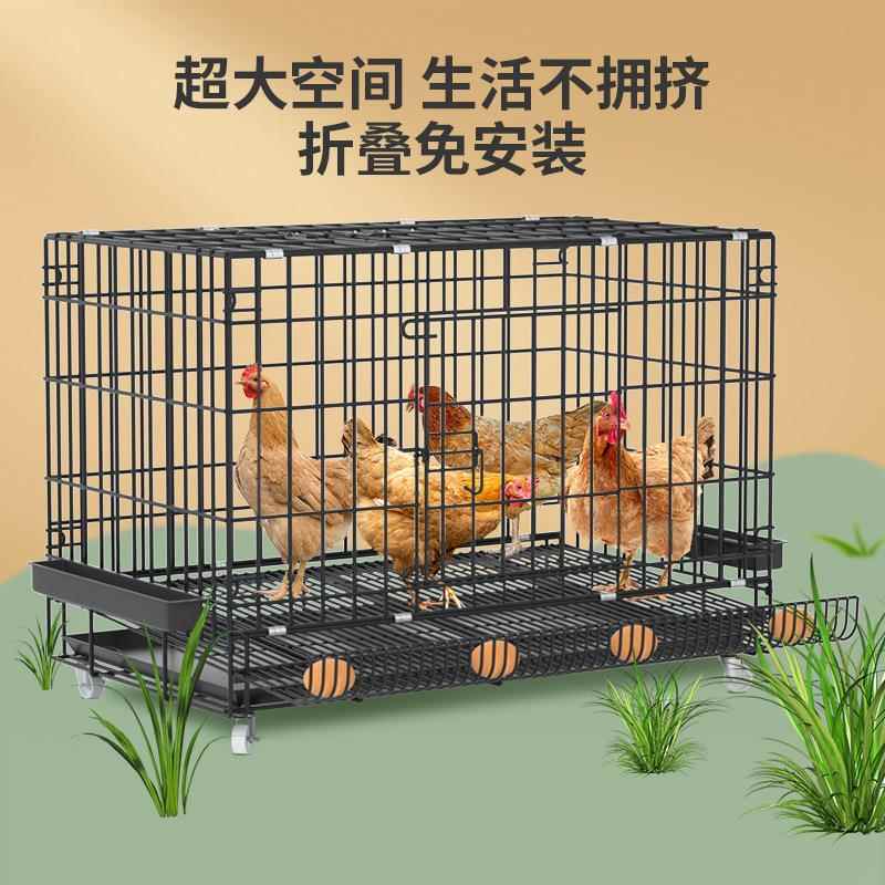 鸡笼子大号特大养殖笼自动清粪鸡舍家用家庭鸡笼多层鸡笼鸭笼批发
