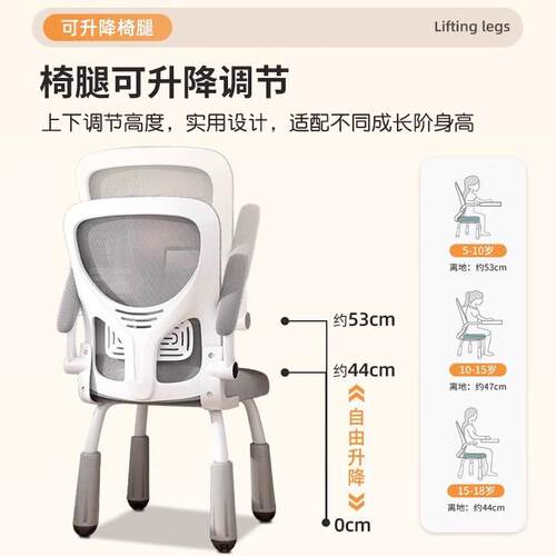 电脑椅家用人体工学椅子久坐舒适靠背座椅中小学生学习写字书桌椅
