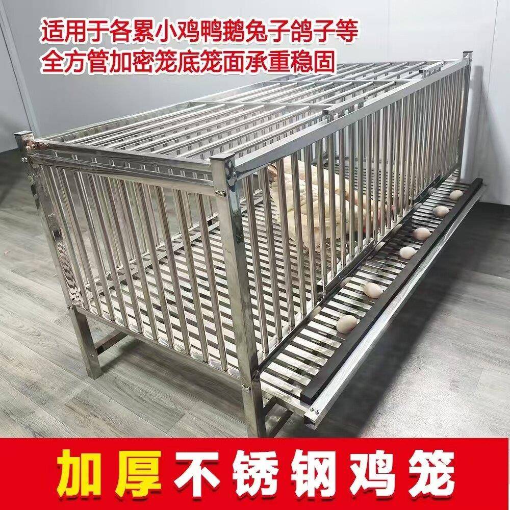 不锈钢鸡笼家用室外滚鸡蛋大号特大蛋鸡养殖笼自动出蛋养殖鸡蛋笼