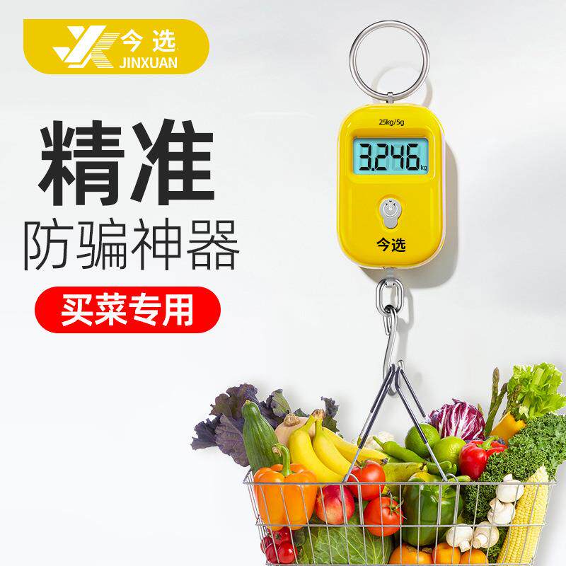 精准迷你手提电子秤高精度小型便携式吊秤弹簧秤家用钩称随身称克