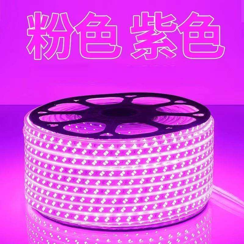 220v超亮5730双排工程家用商用户外绿化养殖防水软灯带条led灯带