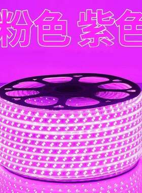 220v超亮5730双排工程家用商用户外绿化养殖防水软灯带条led灯带