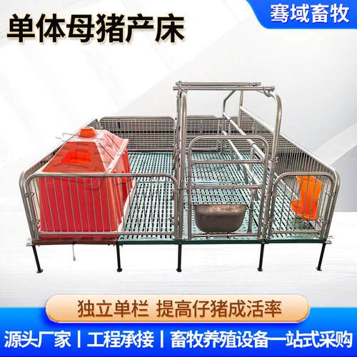体母猪产床养殖设备独立栏设计畜牧繁育用母猪产床体产床