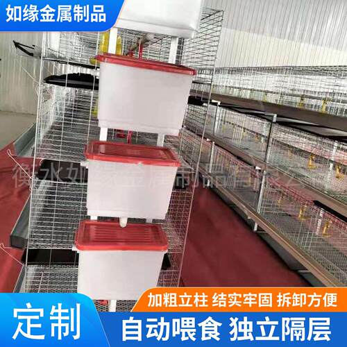 定制立式小鸡笼层叠式养鸡笼畜牧养殖设备镀锌防锈鸡笼家用育雏笼
