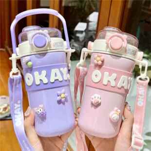 吸管保学温杯女生颜值水女新款2024生上学专杯高用儿童杯子便见详