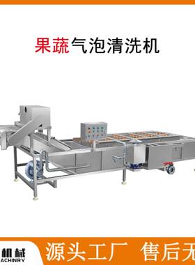 苹果清洗机 长豆角茄子洗菜机 红尖椒气泡清洗机多功能去泥清洗机