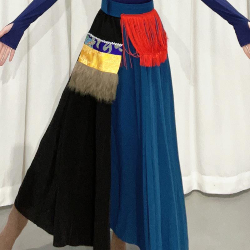高档藏族舞蹈演出上服装女艺考练功摆服蒙古广场舞大舞裙民族舞蹈