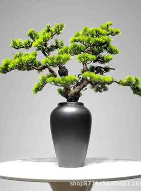 仿真植物景桌面盆摆件客厅电ZFO柜玄视关装饰品新式绿植盆栽中迎