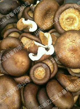 山东促销香菇脆真空油炸机低温真空油炸机冬瓜脆VF真空脱水设备