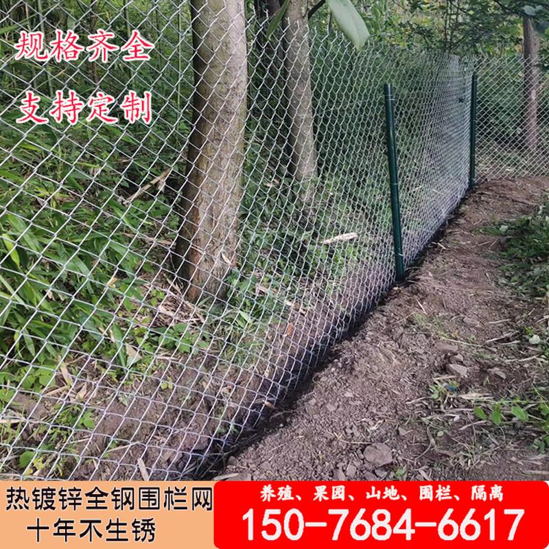 养殖勾花钢丝网围栏圈猪牛羊狗镀锌菱形网喷浆挂网植草护坡铁丝网