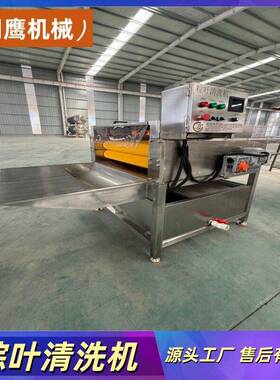 全自动粽叶清洗机芦苇叶粽子加工设备荷叶小型平行毛辊清洗机