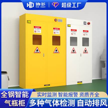 气瓶柜安全柜全钢防爆工业乙烯氧气瓶柜实验室智能单双瓶煤气罐柜