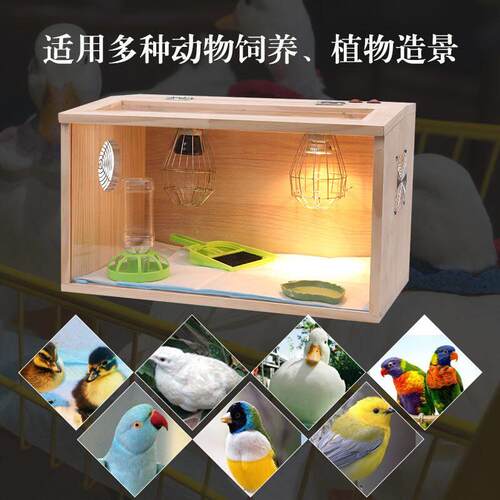 芦丁鸡保温箱灯小鸭育雏鹦鹉八哥鸡仓鼠玄凤幼鸟宠物繁殖可控恒温