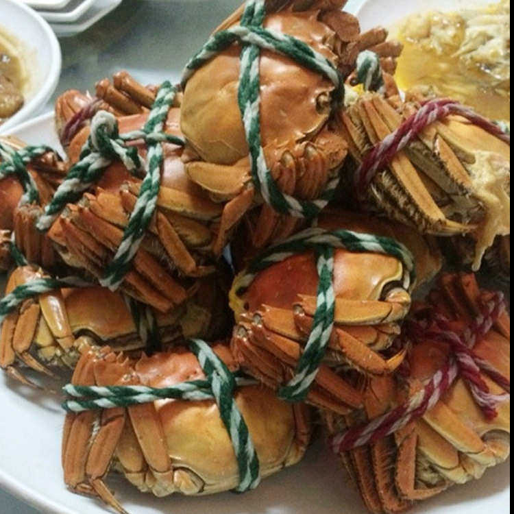 厂家直供大闸蟹绳大青蟹绳螃蟹绳捆扎绳吊牌绳绑蟹绳捆绑绳合股线,纺织面料/辅料/配套,线/绳,淘宝优惠券,粉丝福利购,淘宝优惠卷