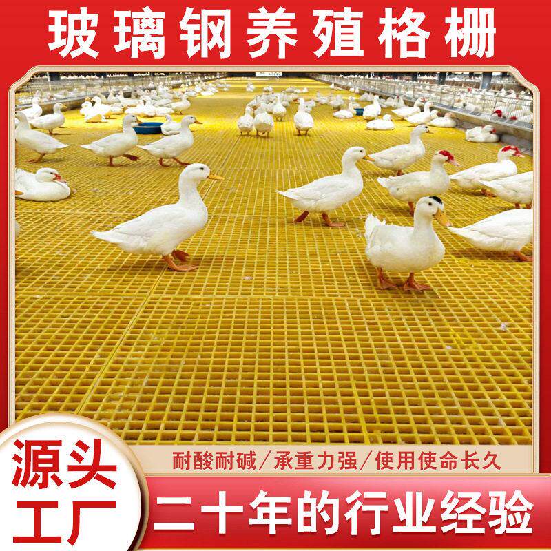 定制玻璃钢养殖用格栅养鸭鸡鹅漏粪板网格板鸽舍地网玻璃钢格栅板