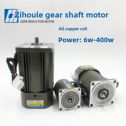 单相220V 6W-400W可调速斜轴电机