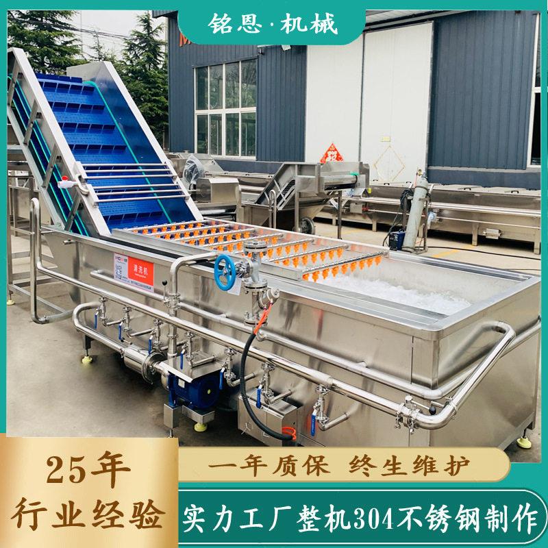 小龙虾清洗机海蛎子钉螺清洗设备压水冲洗去杂质清洗机厂家