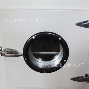 小型工业箱电热恒温鼓ORG风干燥箱数显示恒温烘定烘时高温实控验