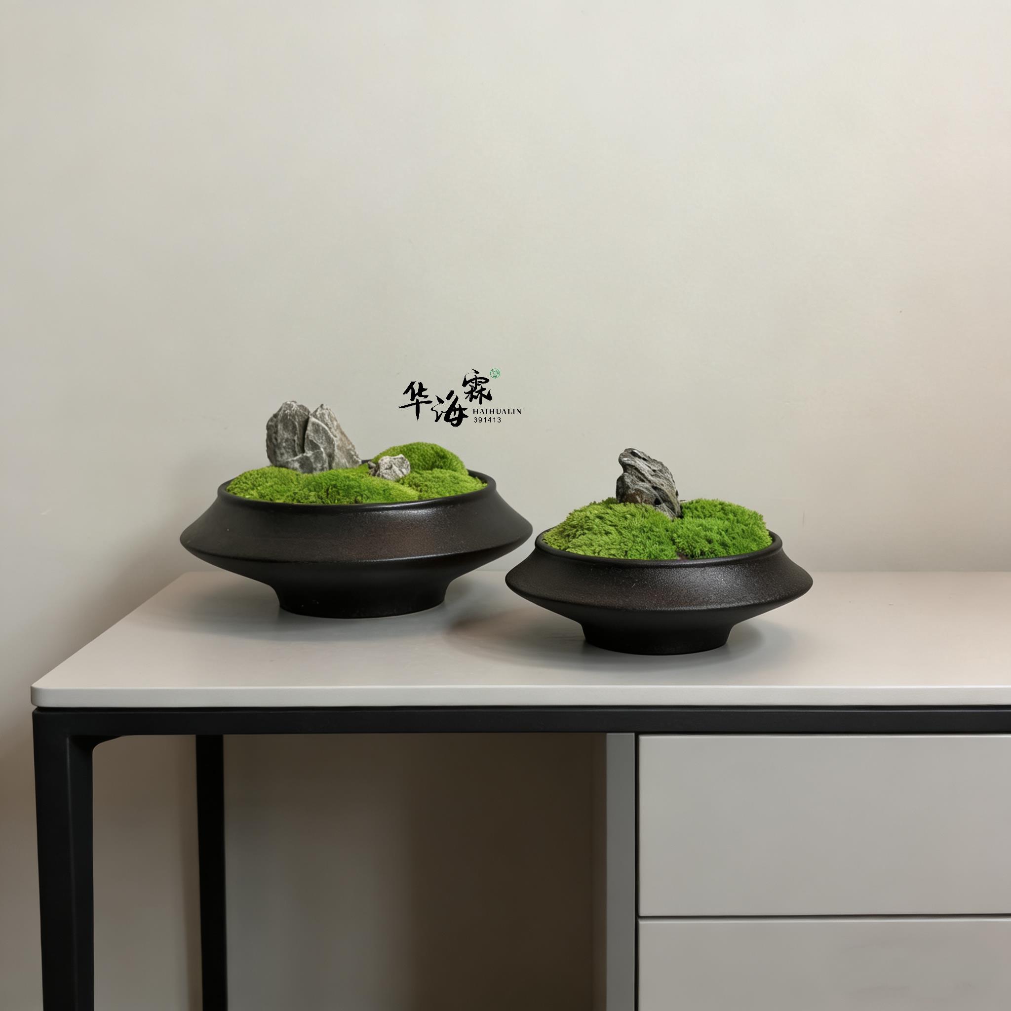 陶瓷新中式永生青苔植物盆景 样板房客厅书房茶几桌面室内摆件