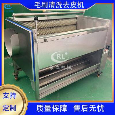 供应青皮核桃清洗去杂机辊刷式黄精黄姜清洗去泥机芜菁清洗机