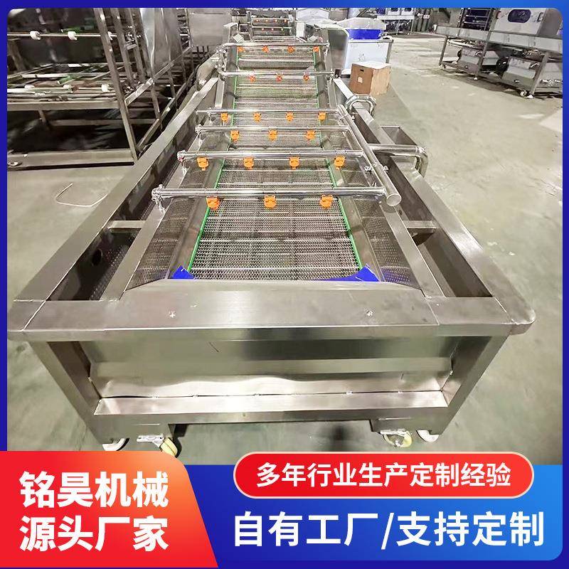 石榴气泡清洗机叶类净菜高压喷淋洗菜机芹菜韭菜无损清洗设备