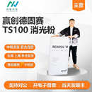 赢创德固赛消光粉TS100 开票 高透明度高消光效率 降低材料亮度