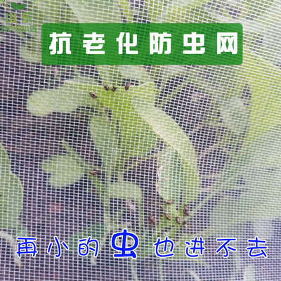 蔬菜大棚防虫网莲雾网罩果蝇青蛙围网脐橙木虱黄龙病猪场防蚊包邮
