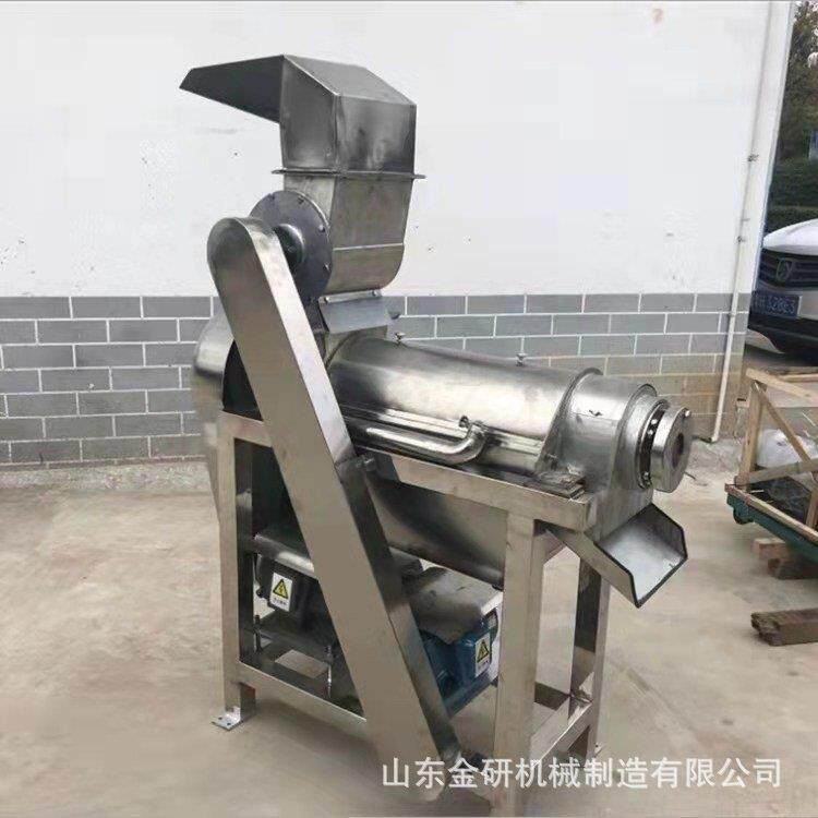 商用姜汁大型榨汁机 工业果蔬樱桃打浆机 果汁饮料脱汁机