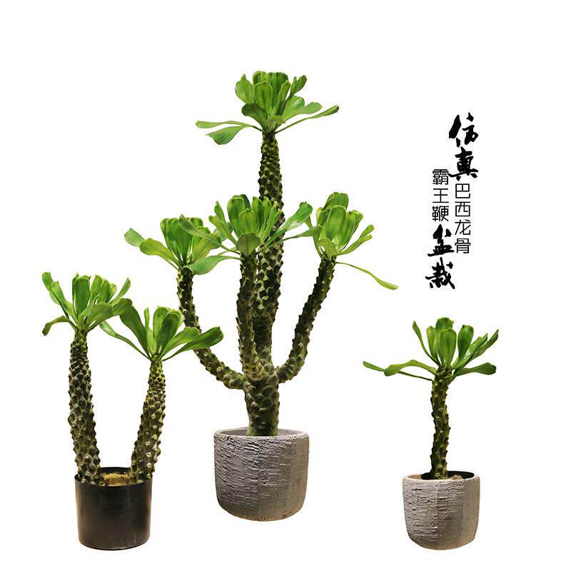 彷真霸王鞭假树巴西龙骨热带沙漠绿植物办公室内样板房桌摆设装饰