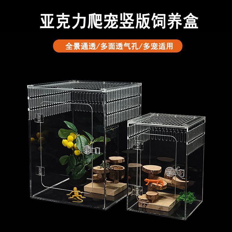 亚克力树栖饲养箱螳螂蝈蝈蜘蛛昆虫睫角饲养盒竖版全透明爬宠盒