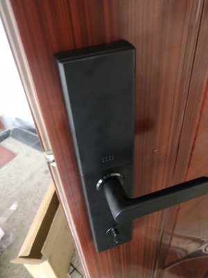 小益E205防盗门怎么样(前车之鉴)有必要告诉大家真相