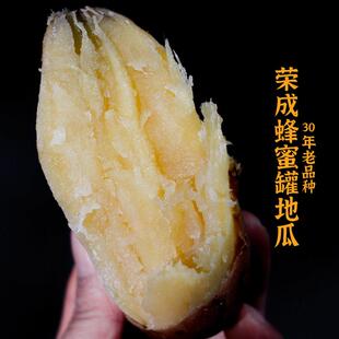 山东威海荣成蜂蜜罐地瓜新鲜老品种黄皮黄心农家自种山芋番薯红薯