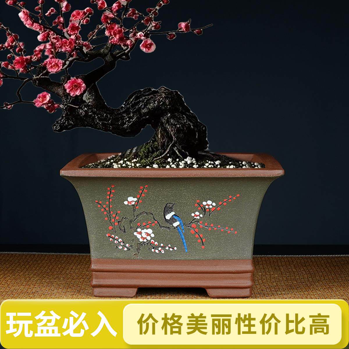紫砂盆景盆方形梅花喜鹊图案花盆栽种盆艺术风庭院盆景盆