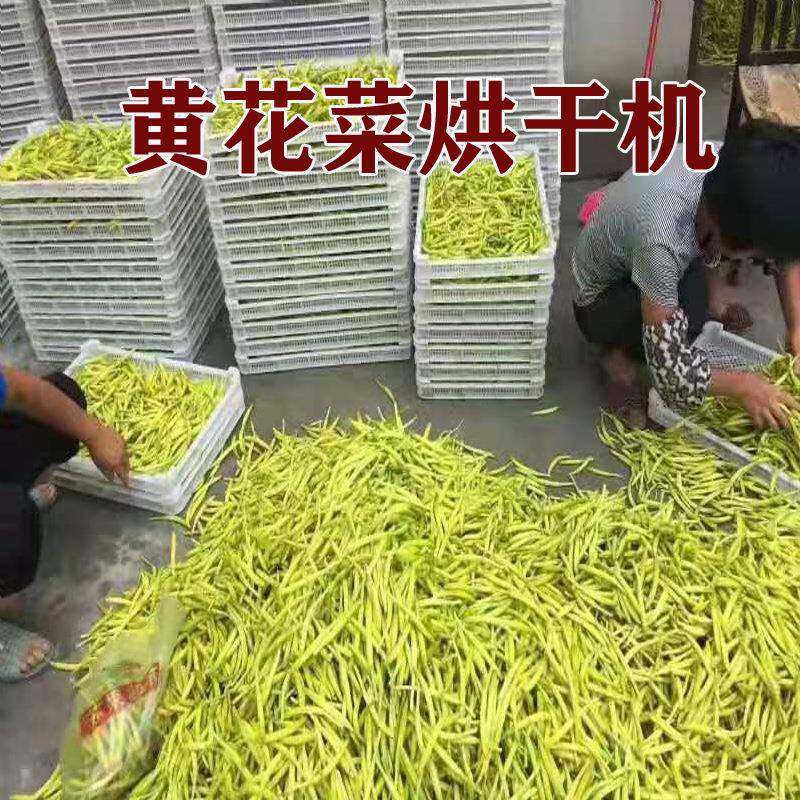 5P黄花菜空气能热泵烘干机金针菜智能烘干设备节能蔬菜干燥机